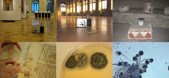 Lab biologia restauro 2