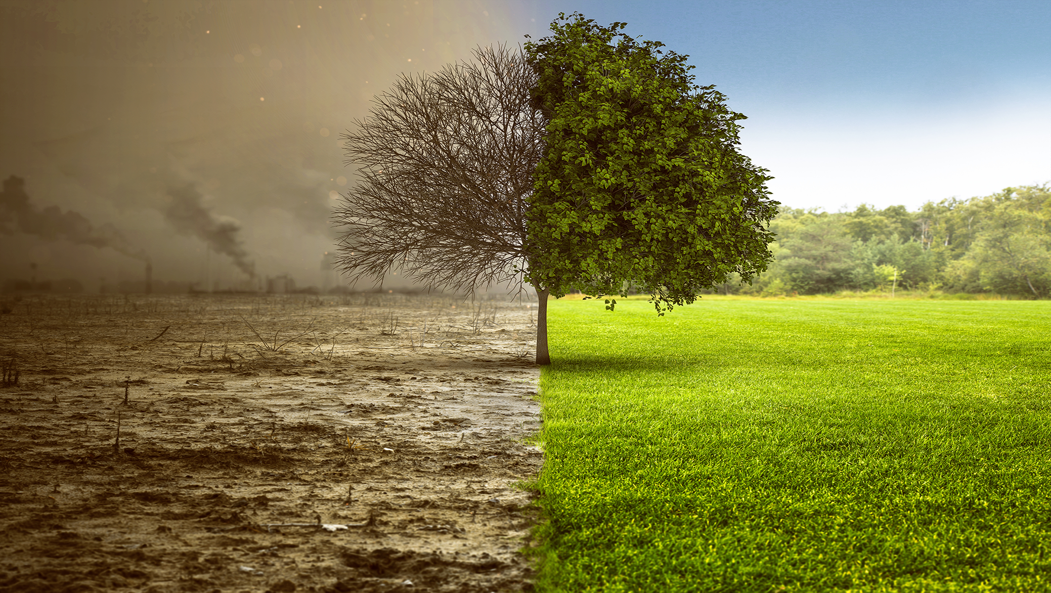 pagina in costruzione